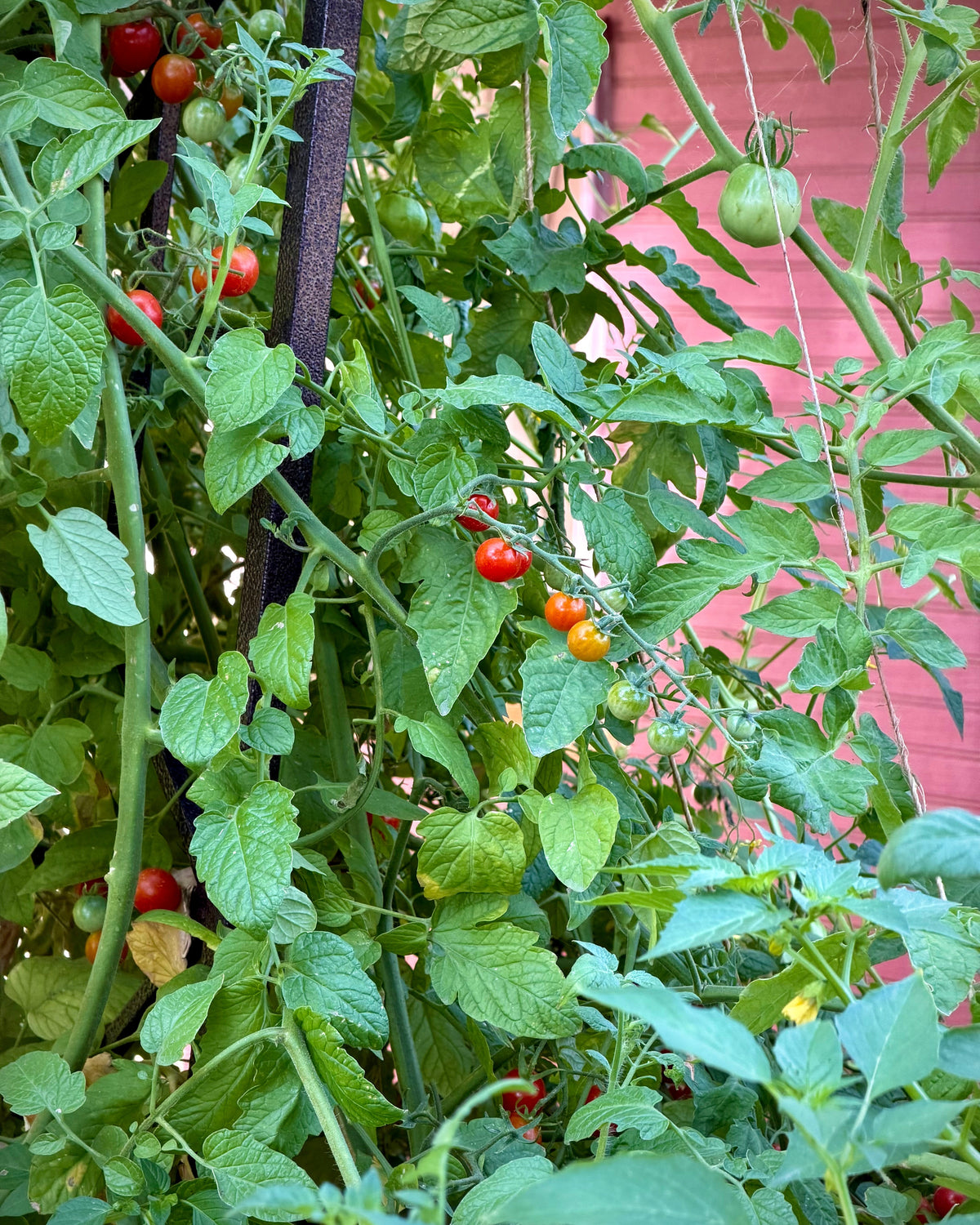 Organic Matter Is Garden Gold