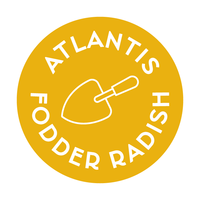 Atlantis Fodder Radish
