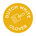 Dutch White Clover