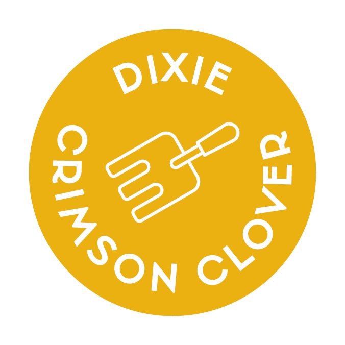 Dixie Crimson Clover