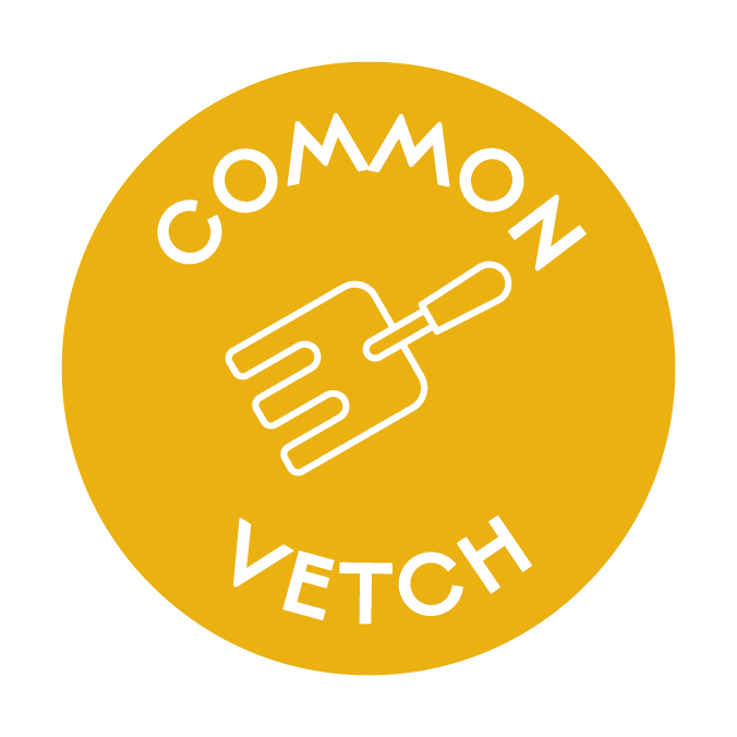 Common Vetch