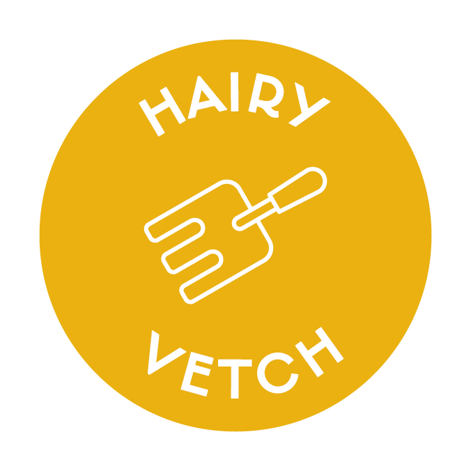 Hairy Vetch