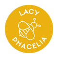 Lacy Phacelia