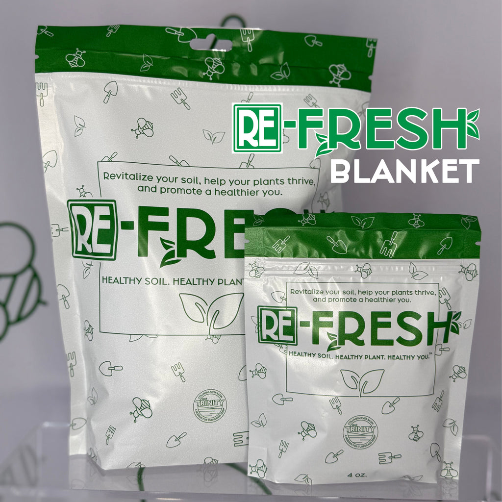 Blanket - The Ultimate Protective Layer